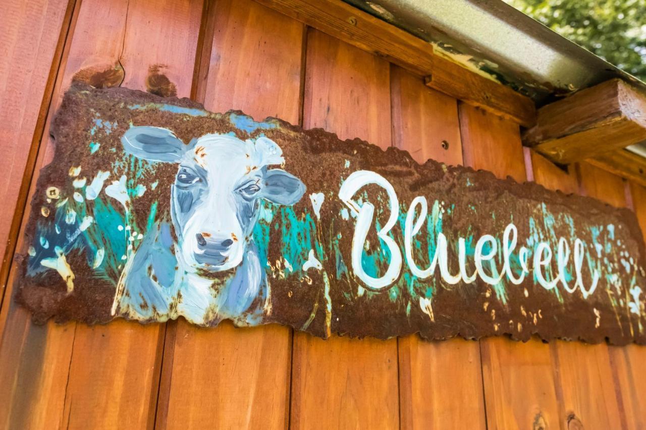 Peace Corner Cottages Dullstroom Eksteriør billede